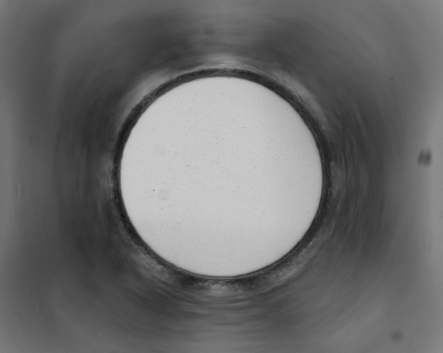 X0000101701318200808071149