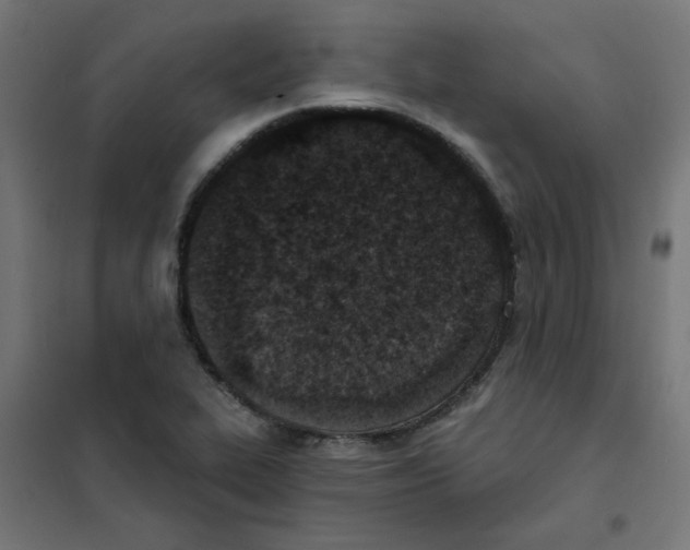 X0000101701319200808071149