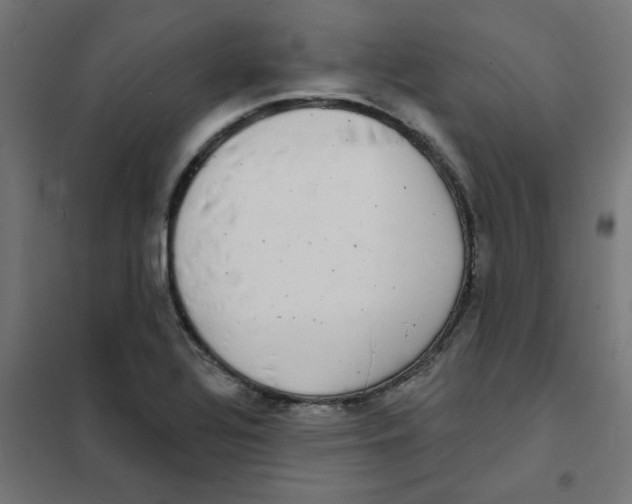 X0000101701320200808071149