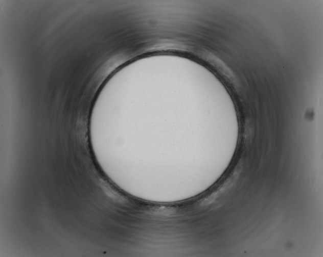 X0000101701321200808071149