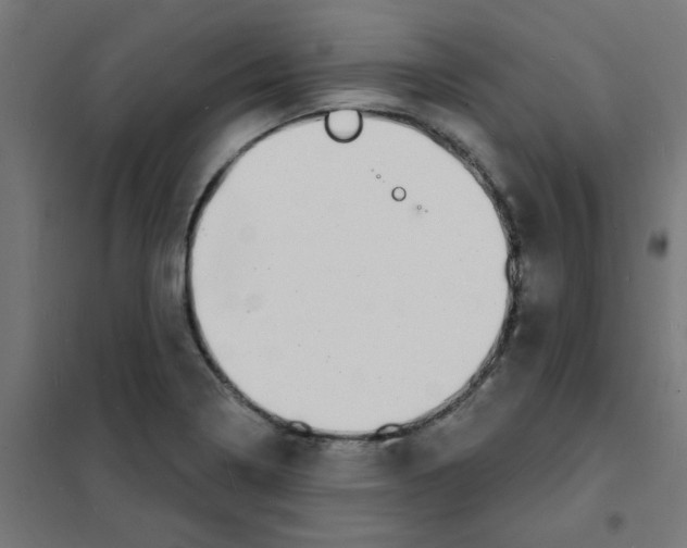 X0000101701322200808071149