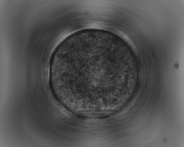 X0000101701323200808071149