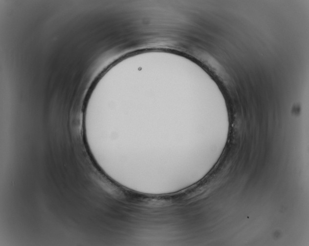 X0000101701324200808071149
