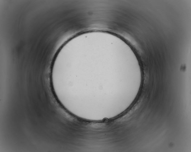 X0000101701325200808071149