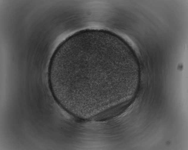 X0000101701327200808071149