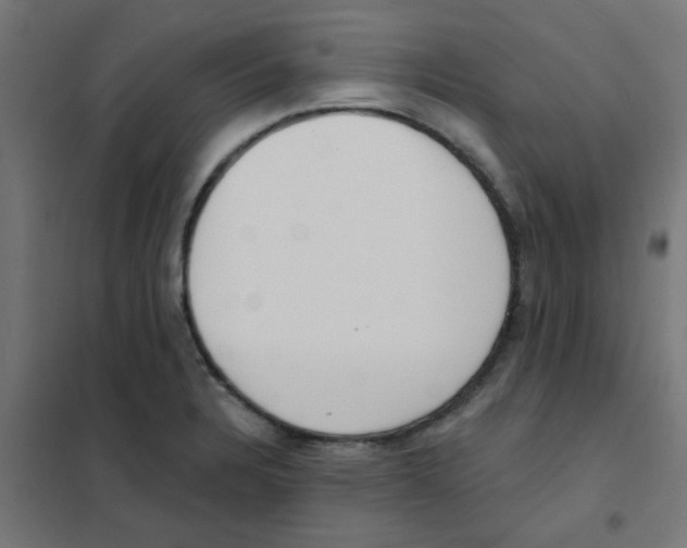 X0000101701328200808071149