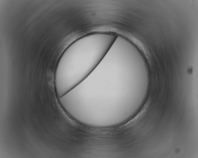 X0000101701329200808071149