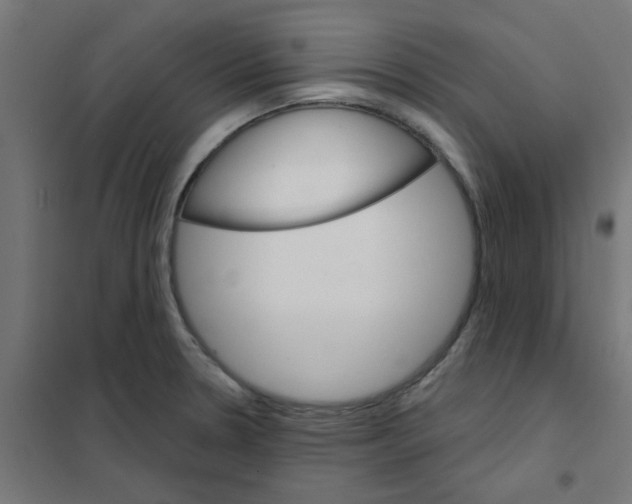 X0000101701330200808071149