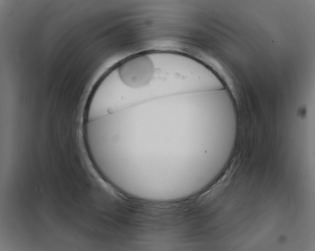X0000101701331200808071149