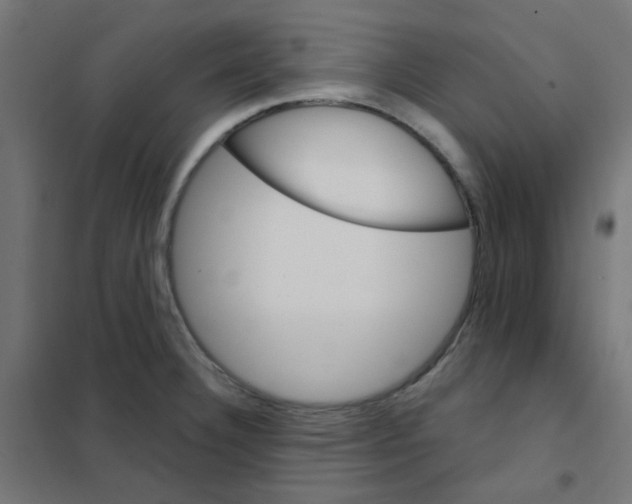 X0000101701332200808071149