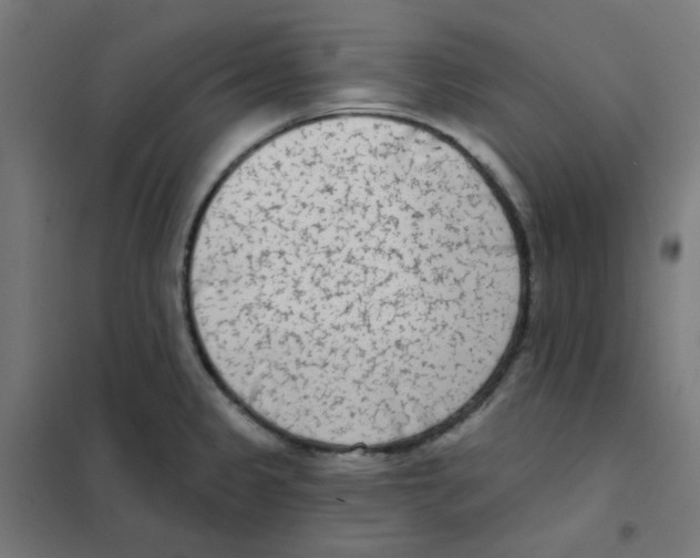 X0000101701333200808071149