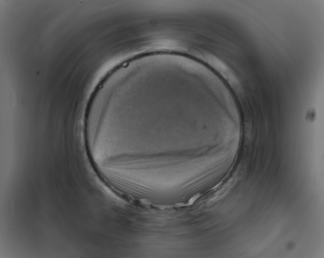 X0000101701334200808071149