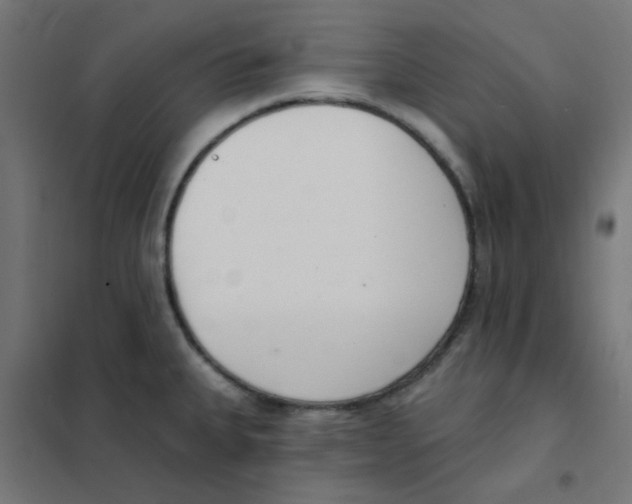 X0000101701335200808071149