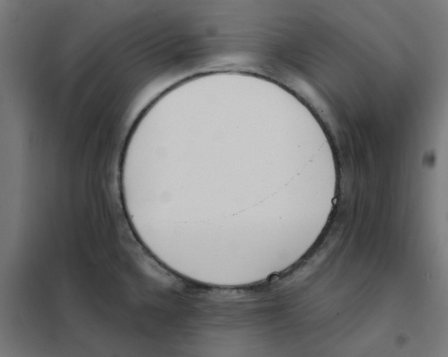 X0000101701336200808071149