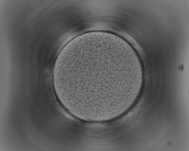 X0000101701337200808071149