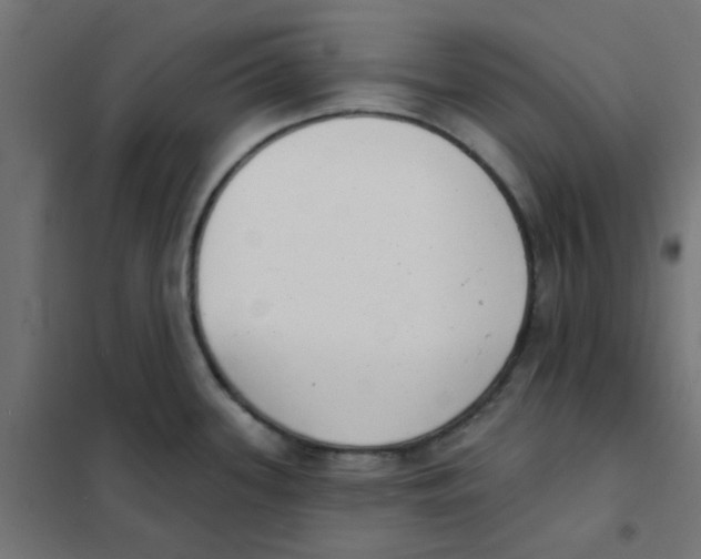X0000101701339200808071149