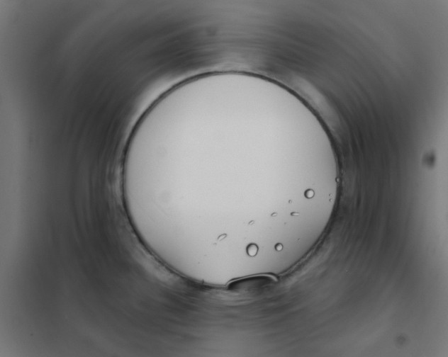 X0000101701340200808071149