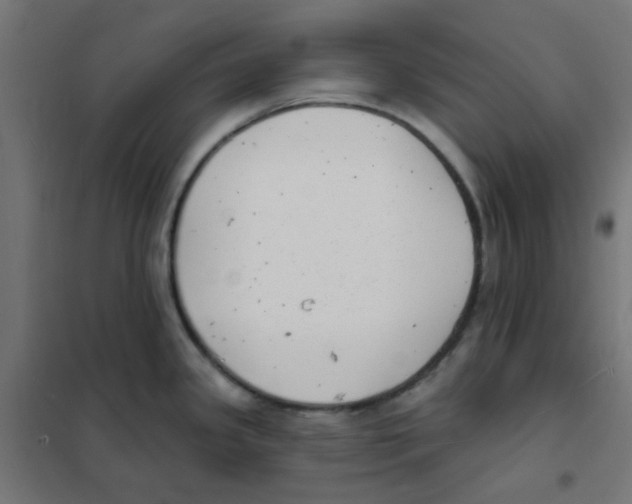 X0000101701341200808071149