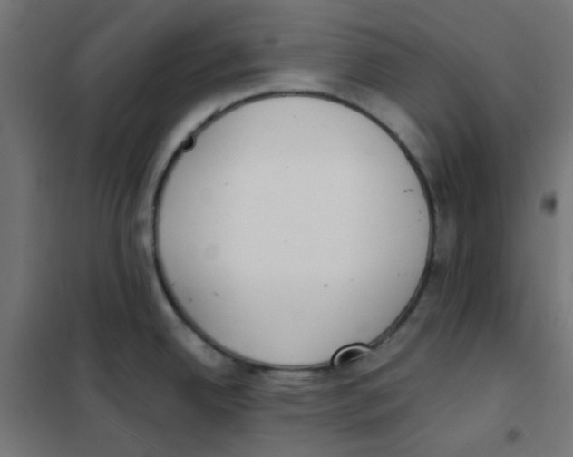 X0000101701342200808071149