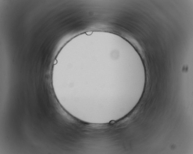 X0000101701344200808071149