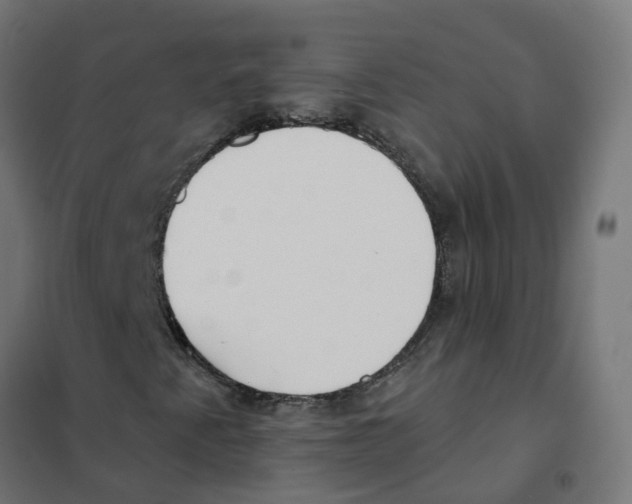 X0000101701345200808071148