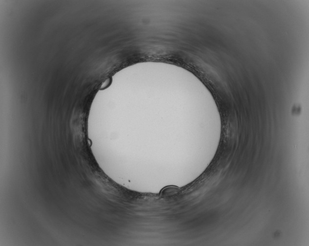X0000101701346200808071148