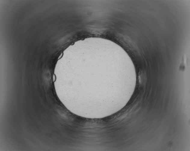 X0000101701347200808071148