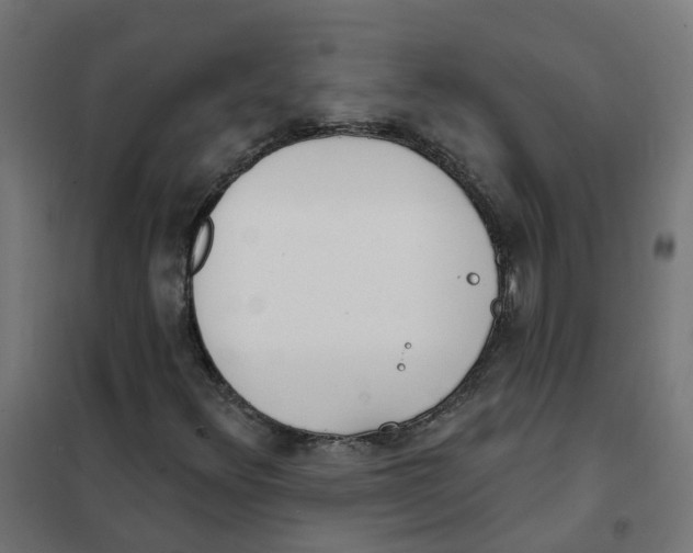 X0000101701348200808071148