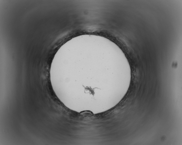 X0000101701349200808071148