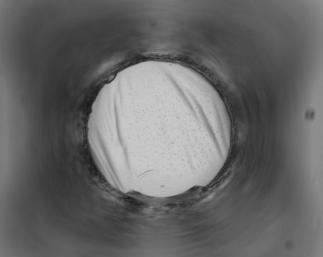 X0000101701350200808071148