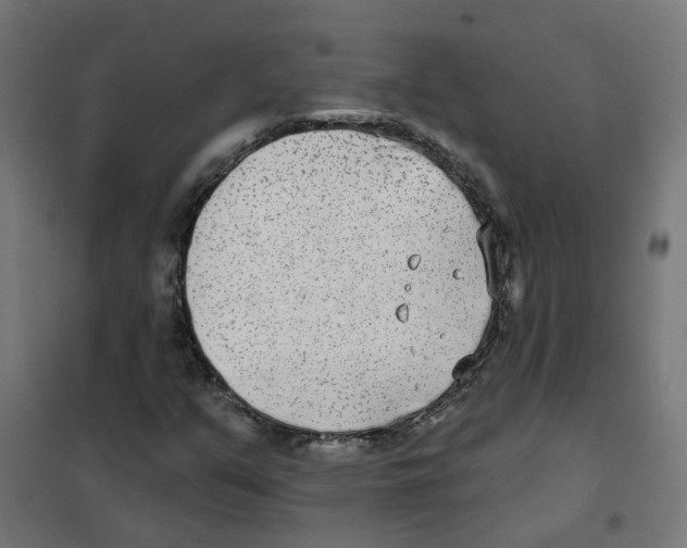 X0000101701351200808071148