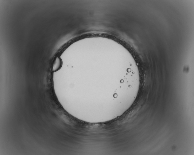 X0000101701352200808071148
