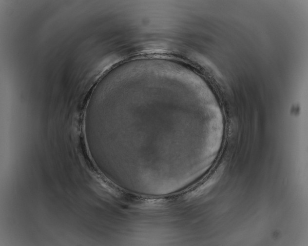 X0000101701353200808071148