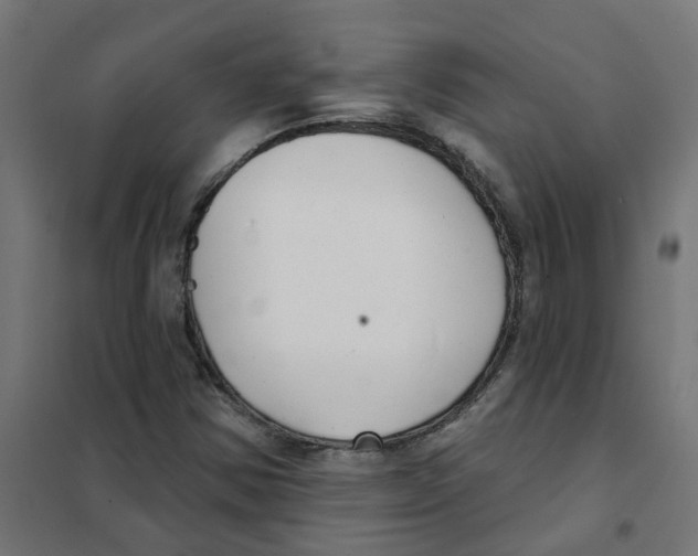 X0000101701354200808071148