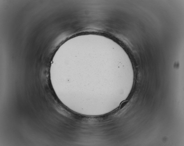 X0000101701355200808071148