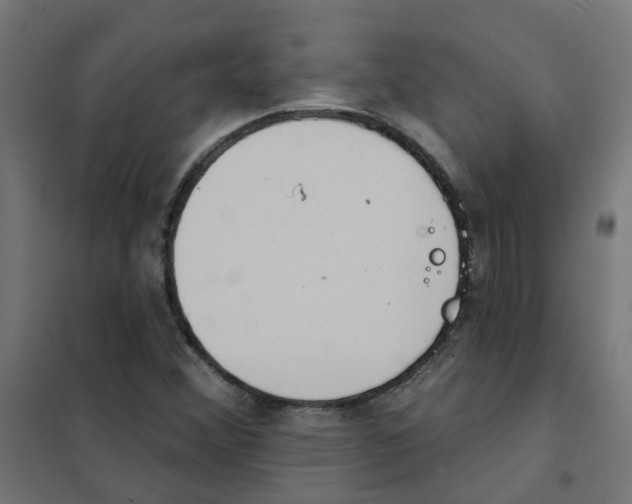 X0000101701356200808071148