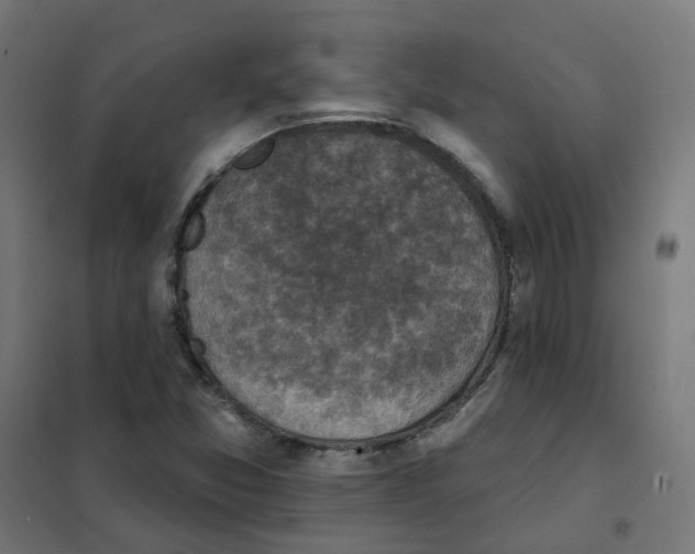 X0000101701357200808071148
