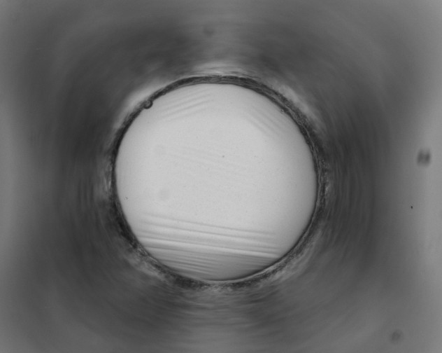 X0000101701358200808071148