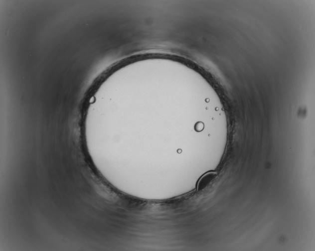 X0000101701360200808071148