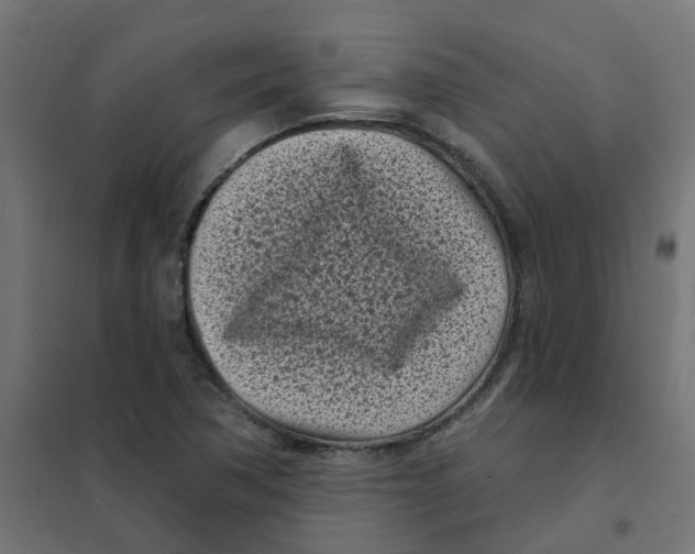 X0000101701362200808071148