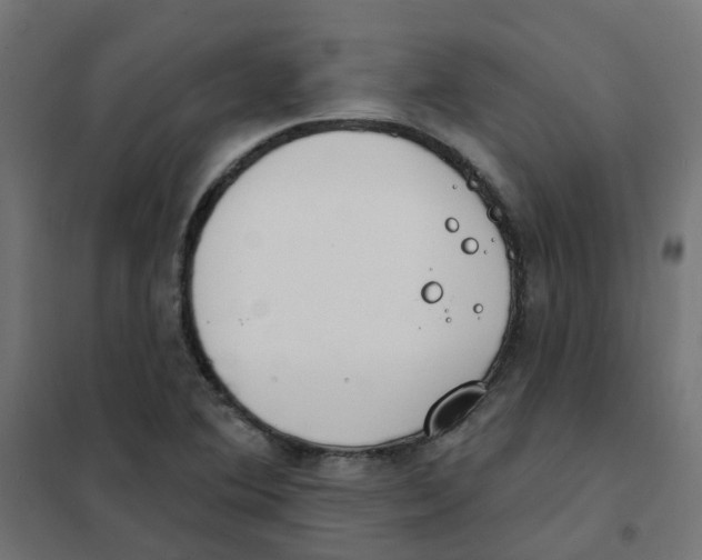 X0000101701364200808071148