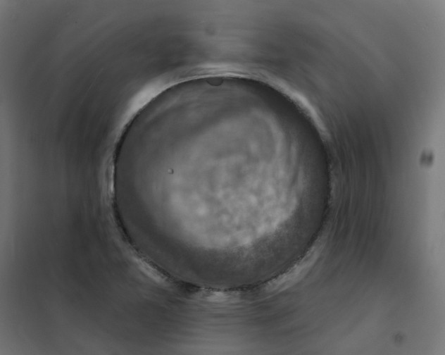 X0000101701365200808071148