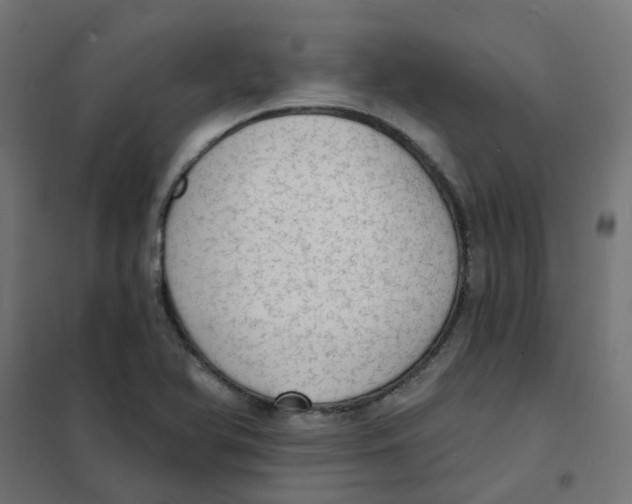 X0000101701366200808071148