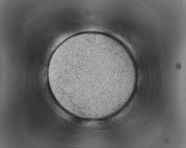 X0000101701367200808071148