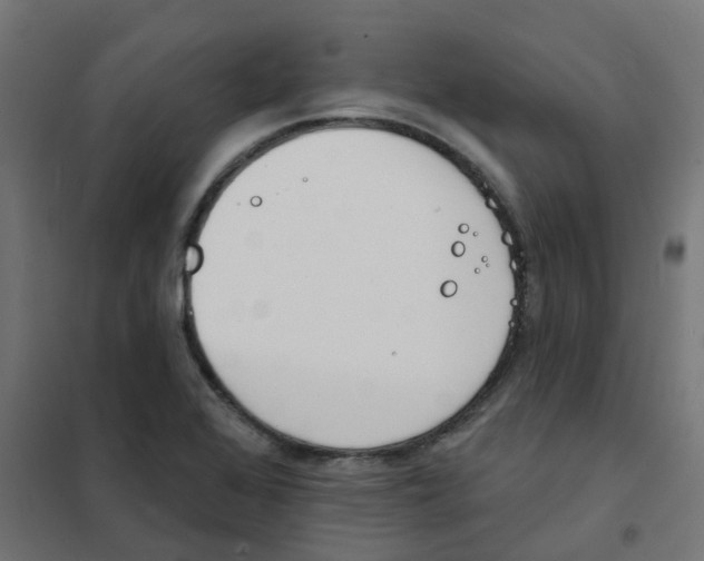 X0000101701368200808071148