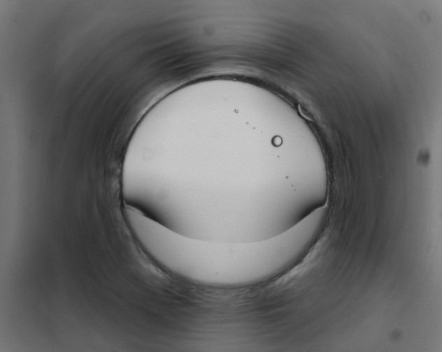 X0000101701369200808071148