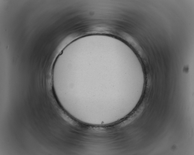 X0000101701370200808071148