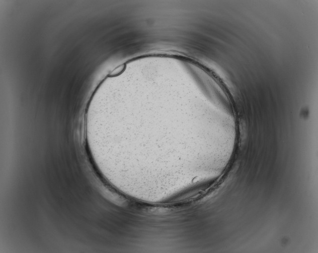 X0000101701371200808071148
