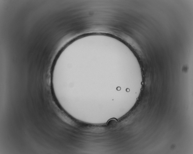 X0000101701372200808071148