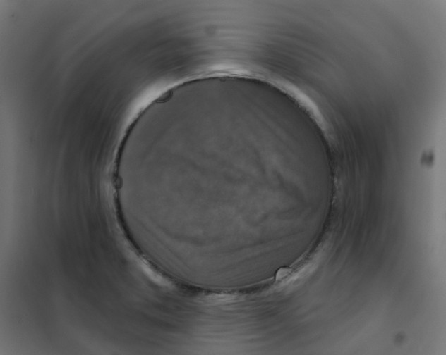 X0000101701373200808071148